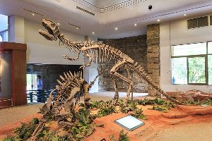 Zigong Dinosaur Museum 