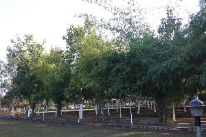 Nakshatra Van