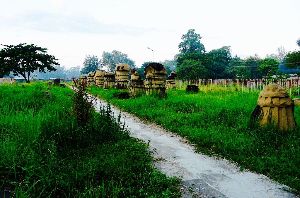 Khekiho Memorial Park 