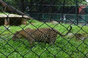 7 Days 6 Nights madurai Tour Package