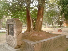 Alfred Park
