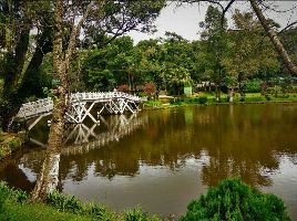 Wards Lake