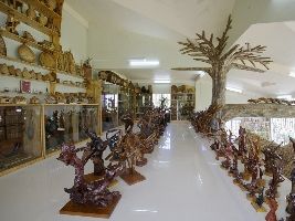 Ever Living Museum