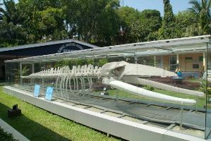 Samudrika Naval Marine Museum