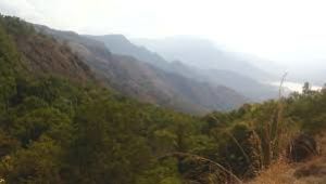 Palani Hills