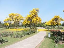 Terraced Garden