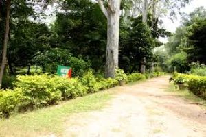 Butterfly Park