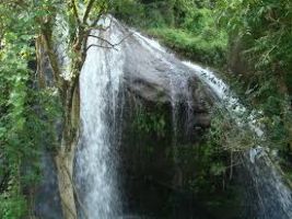 Monkey Falls