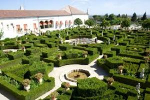 Umed gardens