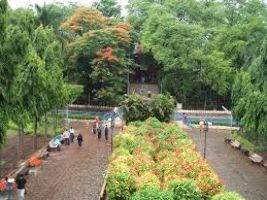 Saras Baug