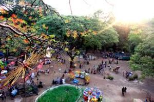 Empress Botanical Garden