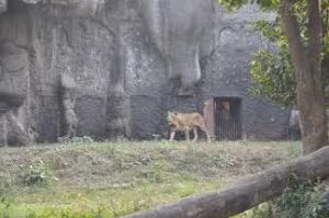 Alipore Zoological Garden