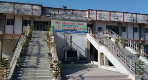 Gaya Museum