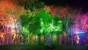 Pandit Jawaharlal Nehru Botanical Garden 