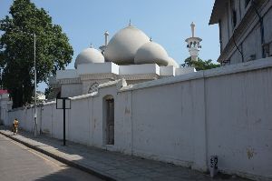 Thousand Lights Mosqueo