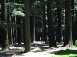 Nature park