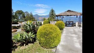 Pine View Nursery