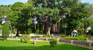 Public Gardens