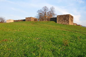 Irgenhausen Castrum