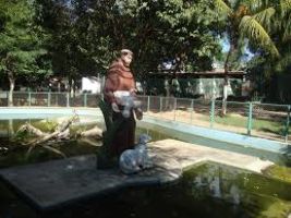 San Francisco Zoo Caninde