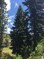 Payette National Forest 