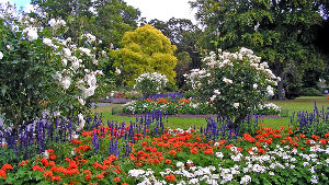 Dunedin Botanic Garden