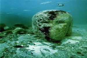 Scuba diving in Red Sea