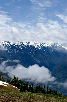Olympic National Park 