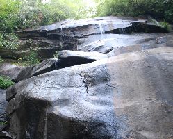 Pisgah National Forest 