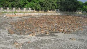 Jagatram