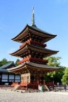 Pleasurable 7 Days Narita Friends Holiday Package