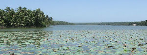 Vellayani Lake