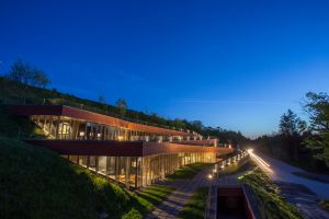 Vucedol Culture Museum