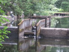 Lake Sawyer Regional Park