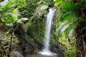 Satdhara Falls