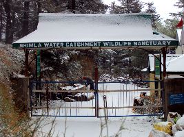 Shimla Water Catchment Sanctuary