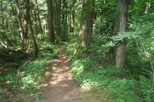 North Delta Watershed Park