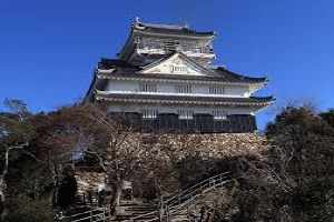 Gifu Castle
