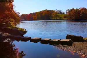 Rockefeller State Park Preserve