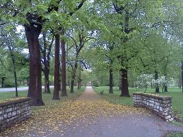 Tower Grove Park