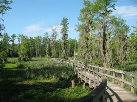Phinizy Swamp Nature Park