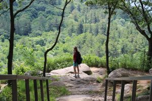 Dorset Scenic Lookout Tower