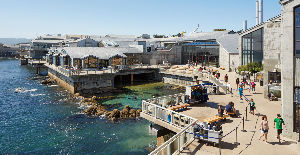 Monterey Bay Aquarium