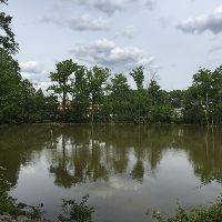 Oak Tree Pond Park