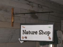The Little Nature Museum