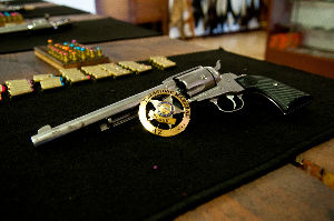 Big Iron Shooting Gallery