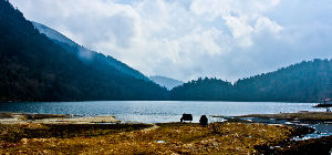 Zuluk