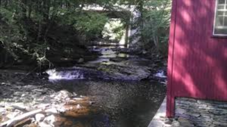 Pomfret Trip Packages