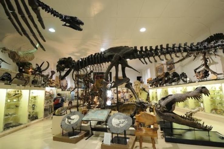 The Museum @ Black Hills Institute Trip Packages
