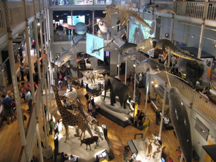 National Museum of Scotland Trip Packages